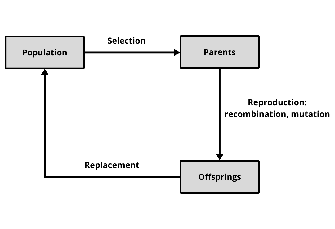 Evolução por seleção natural